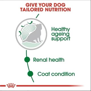 Royal Canin Mini Dog Pouch🐶โรยัล คานิน อาหารเปียก สุนัขพันธุ์เล็ก 85g