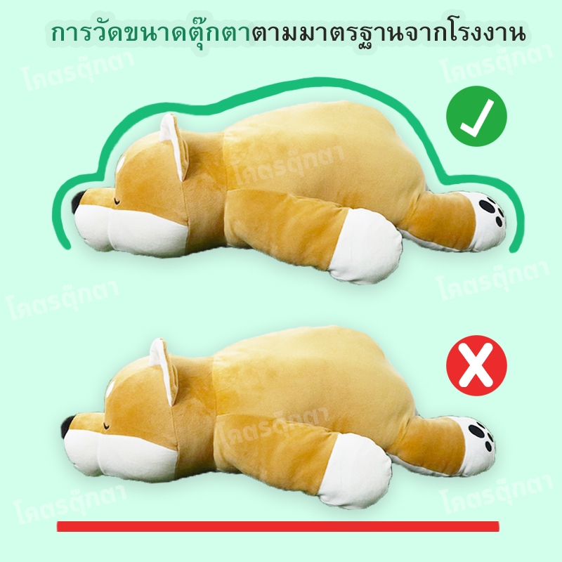 ตุ๊กตา หมา บลูด็อก 25นิ้ว  ( size 60 cm)  ผ้า Super Soft นุ่มนิ่ม ใยไมโครแท้ 100%  TT - รูปที่ 4
