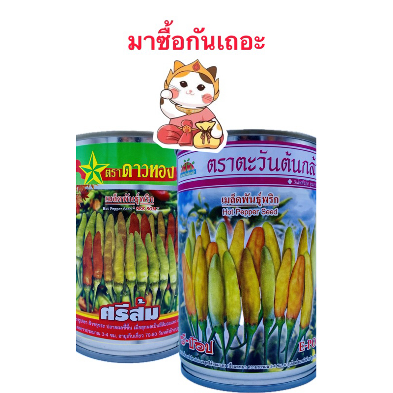 พริกกระเหรี่ยง อีป็อป ตราตะวันต้นกล้า เมล็ดพันธุ์พริกกระเหรี่ยง ศรีส้ม ตราดาวทอง