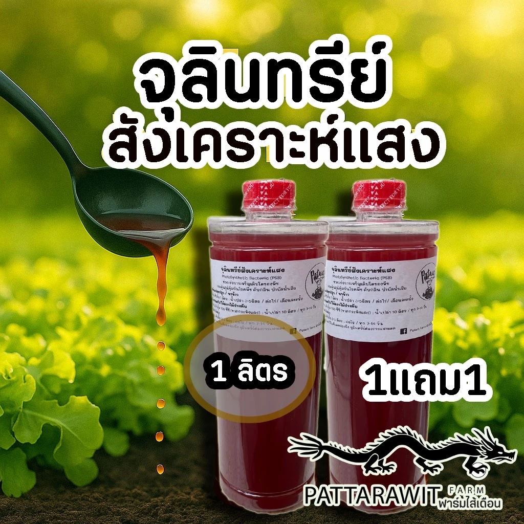 (1แถม1)(ใช้โค้ดส่งฟรีทักแชท)จุลินทรีย์สังเคราะห์แสง PSB ขนาด1ลิตร 1แถม1 สูตรเข้มข้นสีแดงสด ใช้ขยายเชื้อต่อได้ไม่รู้จบ