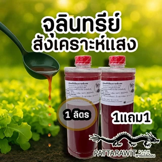 (1แถม1)(ใช้โค้ดส่งฟรีทักแชท)จุลินทรีย์สังเคราะห์แสง PSB ขนาด1ลิตร 1แถม1 สูตรเข้มข้นสีแดงสด ใช้ขยายเชื้อต่อได้ไม่รู้จบ