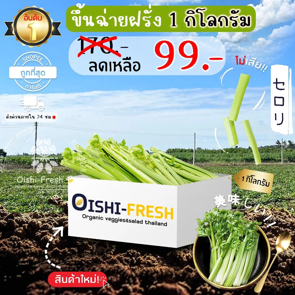 🛒Oishi-Fresh🥬เซเลอรี่ ปลอดสารพิษ 1 กก. รสชาติกรอบ สด ใหม่ ใยอาหารสูง หวานออร์แกนิค ผัก เคลมได้ 1-2 วัน