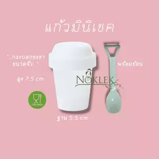 mini shaker แก้วเขย่าชา เขย่าผงชามัทฉะ food grade แถมช้อม