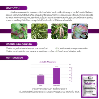 Bionic ไบโอนิค 9 (สารเร่ง 9)* จุลินทรีย์ละลายฟอสฟอรัส ปรับดินกรด ดินเปรี้ยว พืชโตไว แข็งแรง