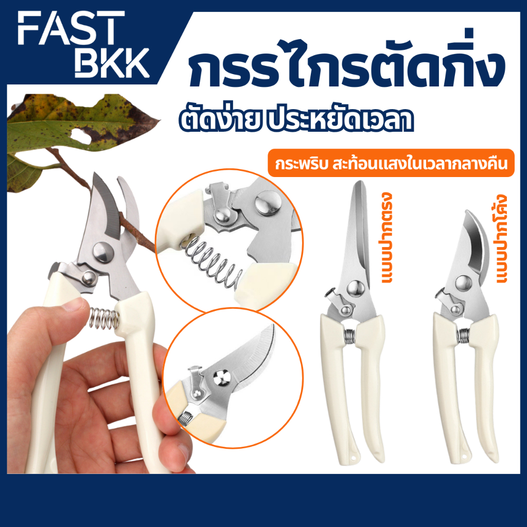 [ ส่งในไทย ] กรรไกร กรรไกรตัดกิ่ง กรรไกรแต่งกิ่งไม้ กรรไกรอเนกประสงค์ กรรไกรตัดไม้ กรรไกรตัดโลหะ ราคา ถูกที่สุด ดีลบีเคเค รูปภาพหลัก