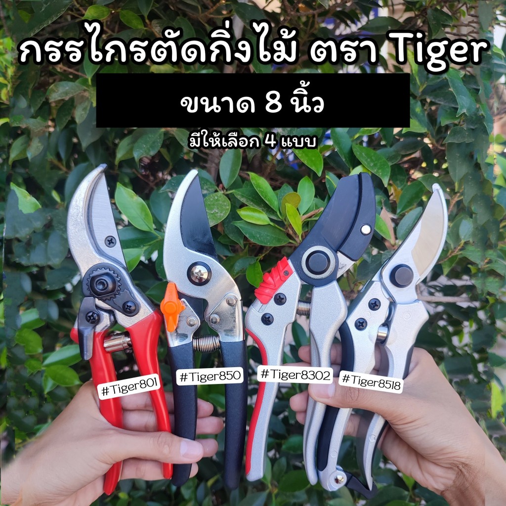 กรรไกรตัดกิ่ง ตรา Tiger ขนาด 8 นิ้ว มีให้เลือก 3 แบบ ใช้สำหรับตัดแต่งกิ่งไม้