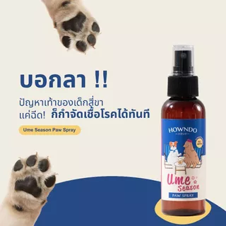 บาล์มพลูคาว Howndo + สเปรย์ทำความสะอาดอุ้งเท้า ช่วยฆ่าเชื้อโรค ทำความสะอาด และบาล์ม ช่วยลดอาการคัน บำรุงอุ้งเท้าสุนัข