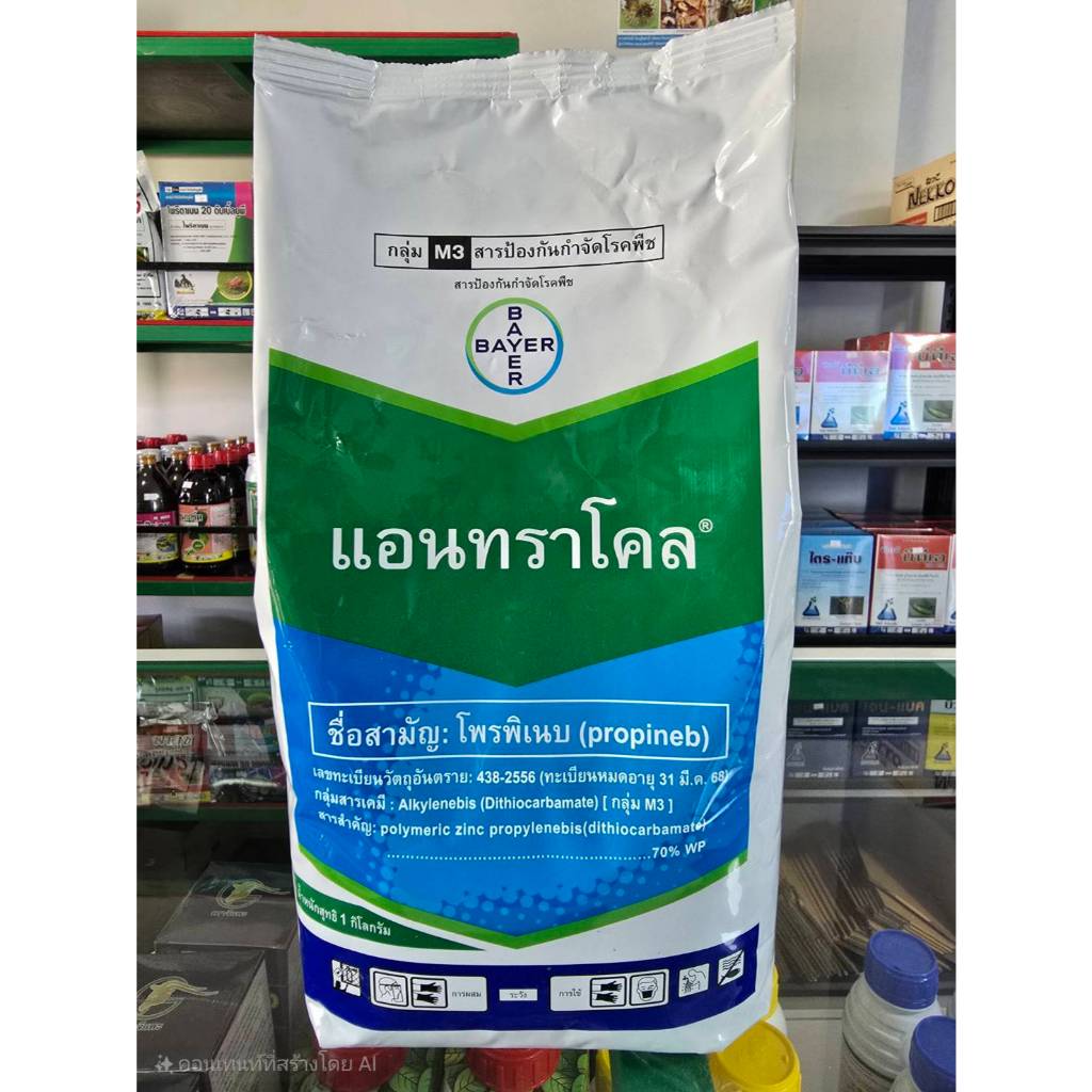 แอนทราโคล โพรพิเนบ รากยาว กอใหญ่ ใบเขียวตั้ง ขนาด 1 กก