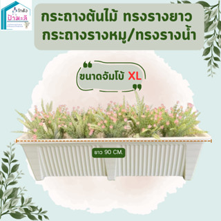 กระถางรางยาว กระถางรางหมู สีขาว สีดำ เนื้อหนา แข็งแรง Size X…