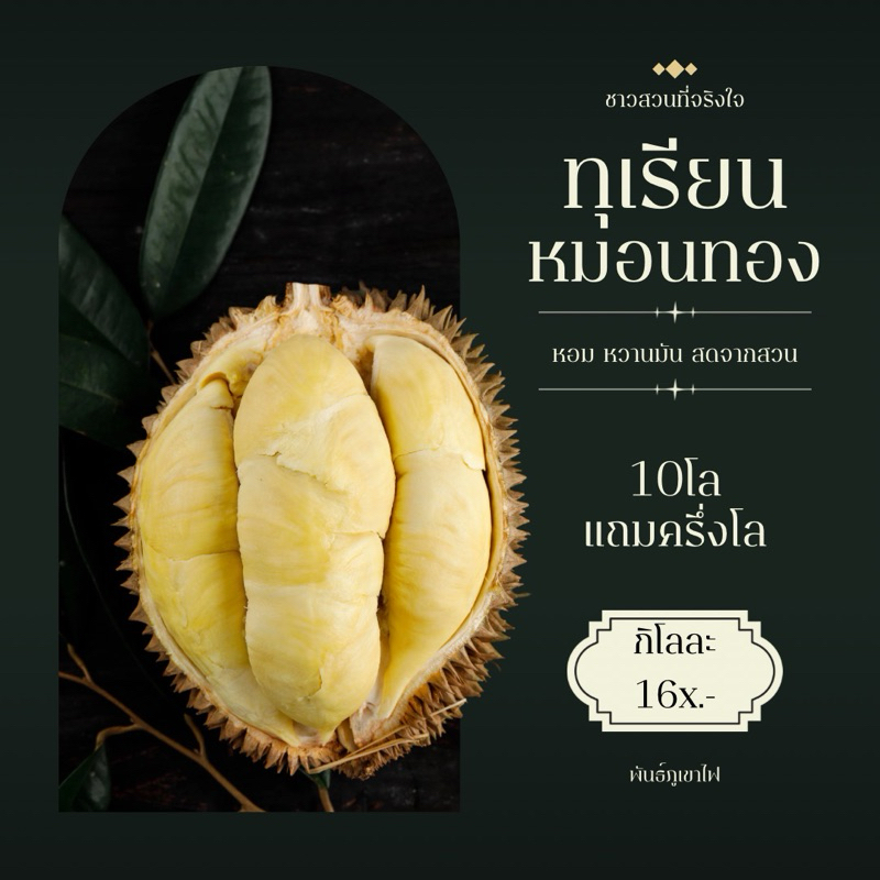 ทุเรียนหมอนทอง ป่าละงู ของหายาก เนื้อจะแห้งพิเศษ ลูกกลม เลือกน้ำหนักได้