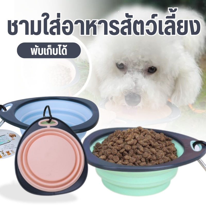 ชามใส่อาหาร สัตว์เลี้ยง ชามข้าวหมา แมว ชาม ถ้วยอาหาร พับเก็บได้ พกพา สะดวก ถ้วยข้าวแมว ซิลิโคน  สีพาสเทล