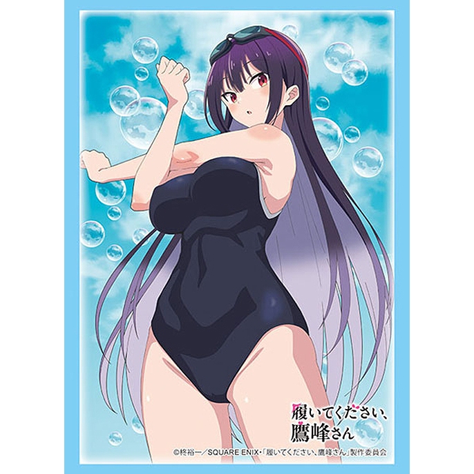 Bushiroad Sleeve HG Vol.4838 TV Anime Please Put Them On, Takamine-san [Takane Takamine] Swimsuit Ve