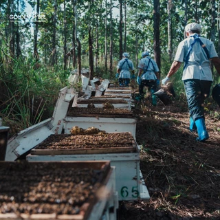 น้ำผึ้งดอกไม้ป่า "แบบเติม"🍯 คุ้มค่าขนาด 1,500 กรัม Forest Honey Refill แบรนด์ Golden Bee