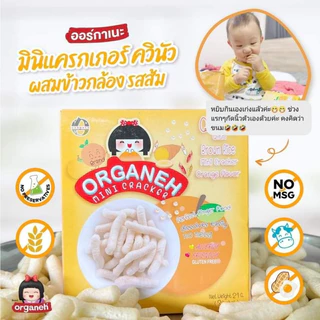 (ขั้นต่ำ 2 ชิ้นหรือรวมกับสินค้าอื่นในร้าน) Organeh ออร์กาเนะ มินิแครกเกอร์และพัฟข้าวกล้องงอก จากข้าวสังข์หยดออร์กานิก