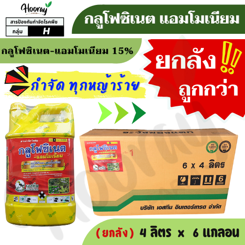 💥💥ยกลัง💥💥  กลูโฟซิเนต 15% 4 ลิตร x 6 แกลอน ( เอสทีม ) กำจัดหญ้า ฆ่าหญ้า หัวคันนา ร่องมัน