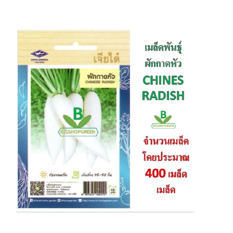 5 แถม 1 เมล็ดพันธุ์ ผักกาดหอม เจียไต๋