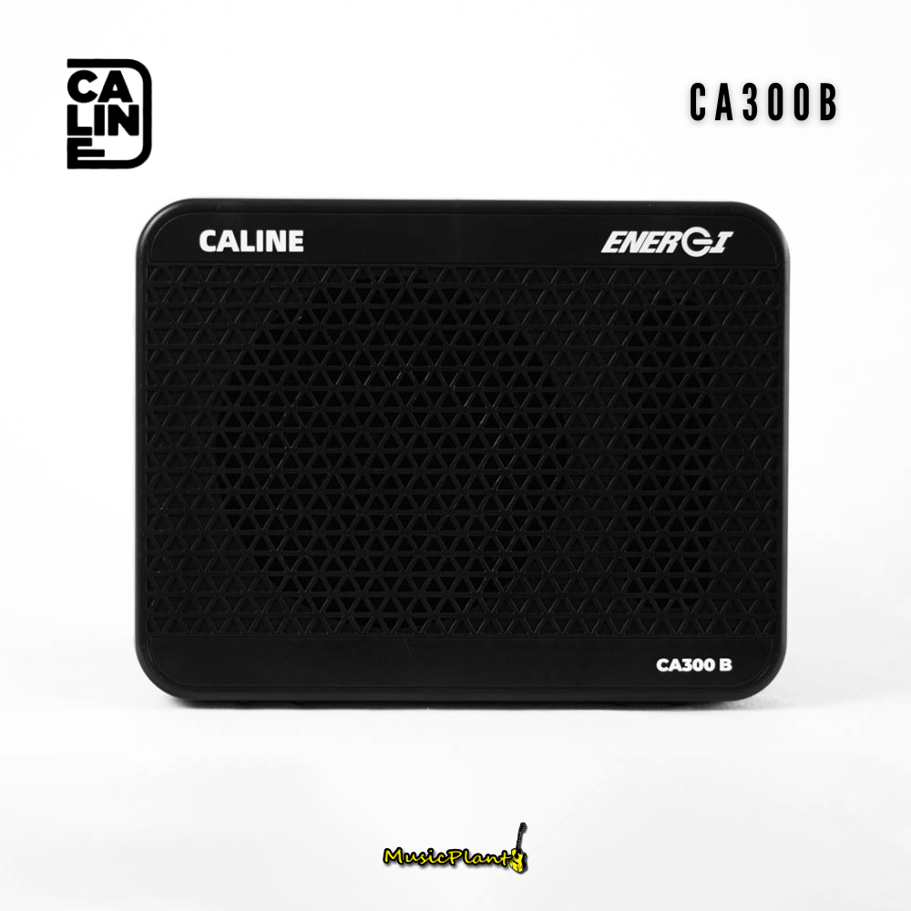 แอมป์เบส Caline - CA300B