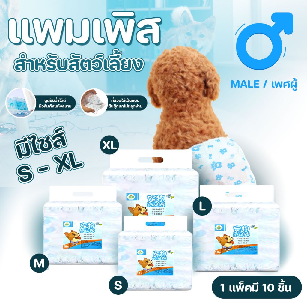 ผ้าอ้อมสุนัข ผ้าอ้อมสัตว์เลี้ยง 10 ชิ้น ดูดซึมซับได้ดี ช่วยฝึกขับถ่ายสุนัข สำหรับตัวผู้ ขนาด S/M/L/XL พร้อมส่งจากรังสิต