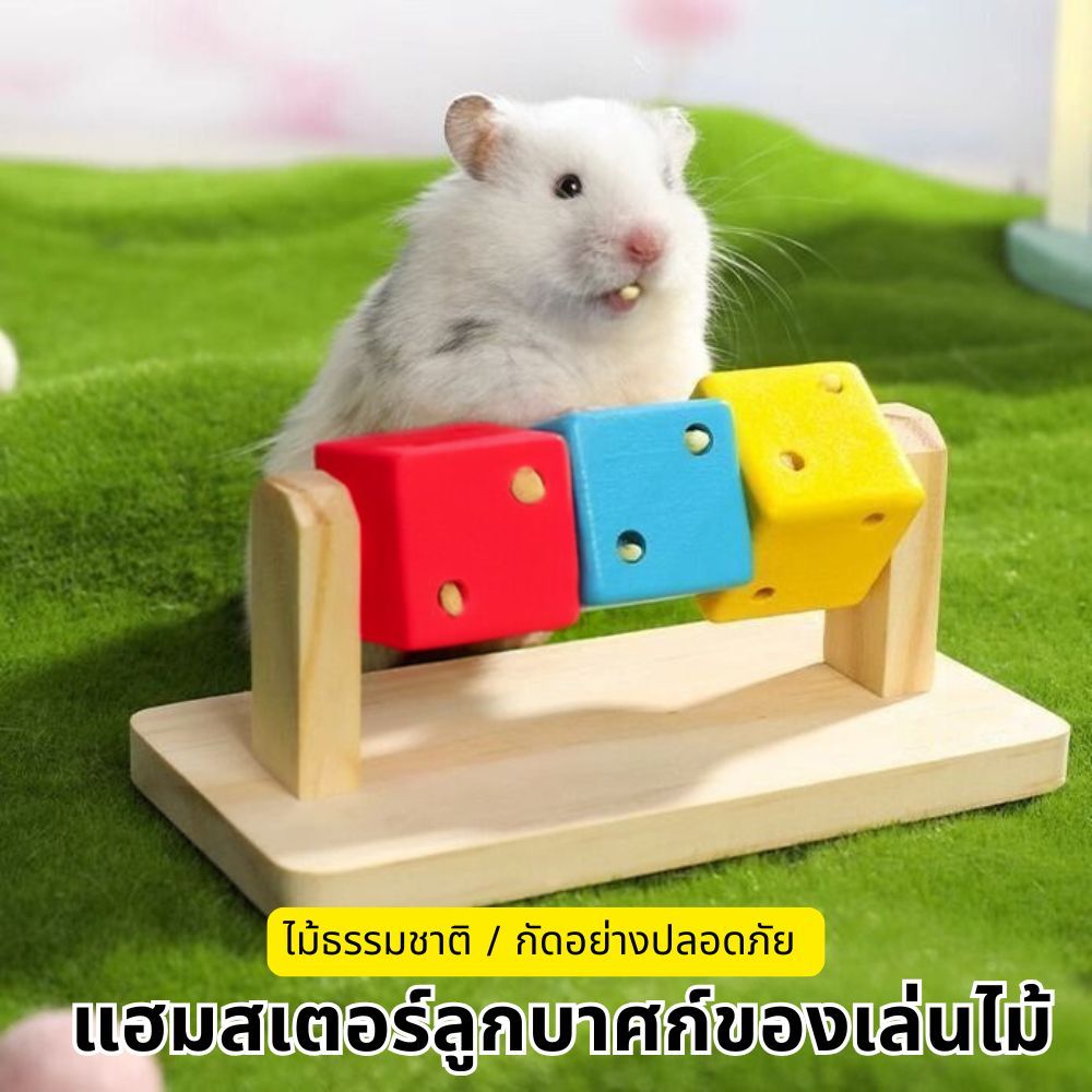 บดฟันหมุนของเล่นหนูแฮมสเตอร์ พัฒนาทักษะ ไม่เบื่อหน่าย สำหรับสัตว์เลี้ยง