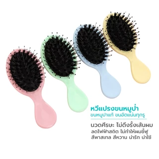 Poli Pola หวีขนหมูป่า พร้อมส่ง!! แปรงหวีขนหมูป่า นวดศีรษะ ลดการพันกันของเส้นผม ผมเรียบ ไม่ชี้ฟู