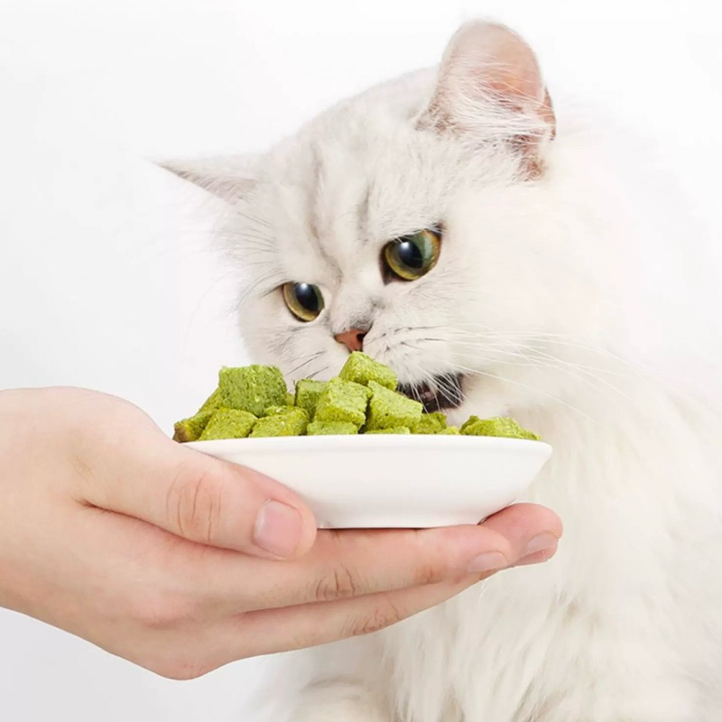 หญ้าแมวฟรีซดราย ขนมแมว หญ้าแมวผสมอกไก่ ขนมฟรีซดราย 100g 200g 300g 500g - รูปที่ 2