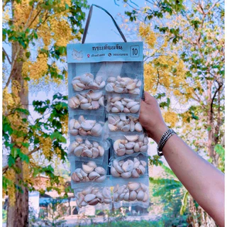 ราคาส่ง หอม,กระเทียม,พริกแห้งพวง🌶️🧄🧅ราคาส่ง