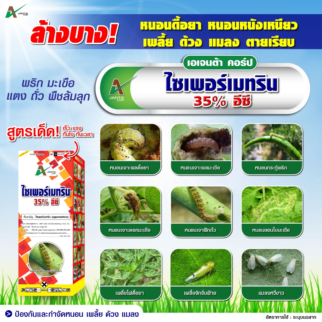 ไซเพอร์เมทริน เอเจนต้า คอร์ป ยาน๊อค สารป้องกันกำจัดแมลง กำจัดเพลี้ย กำจัดไร กำจัดหนอน แมลงปีกแข็ง ด้วง (1 ลิตร) - รูปที่ 6