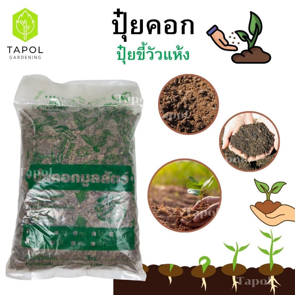 ปุ๋ยคอก ปุ๋ยขี้วัวแห้ง ปุ๋ยคอกจากวัวนม วัสดุปรับปรุงดินธรรมชาติ