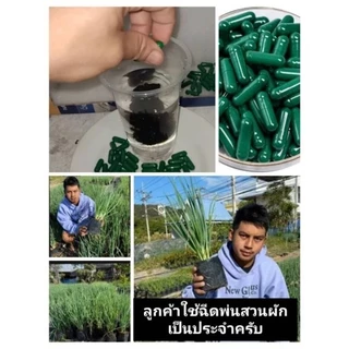 💥1แค็ปซูล : ราคา 5.- แบ่งขาย🌿🥬แค็ปซูลนาโนเขียว ราคาส่งจากโรงงาน.-🥬🌿💥🌱ฮอร์โมนพืชทางใบและดิน