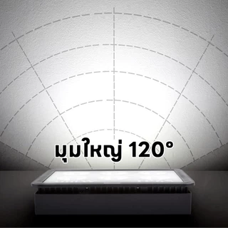 สปอร์ตไลท์ LED สปอตไลท์ ไฟส่องสว่าง 1000W แสงสีขาว ไฟสปอตไลท์กลางแจ้ง spotlight กันน้ำ เสียบปลั๊กไฟ