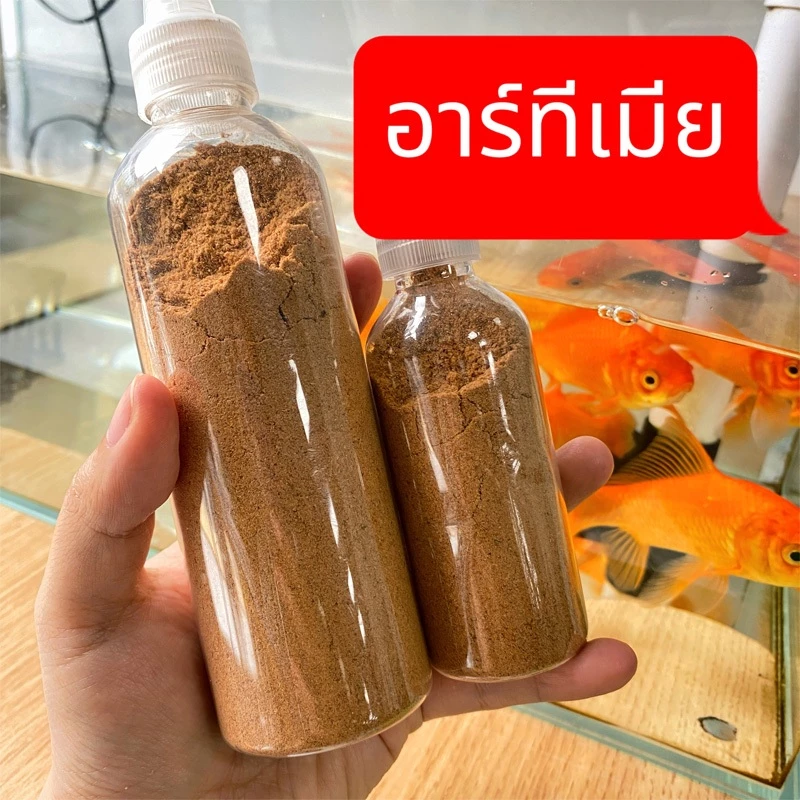 อาหารปลา อาร์ทีเมีย food newborn fish ฟอกเปลือก ให้ปลากินได้ทันที อาหารปลาแรกเกิด อาหารปลากัดแรกเกิด อาหารปลาหางนกยูง