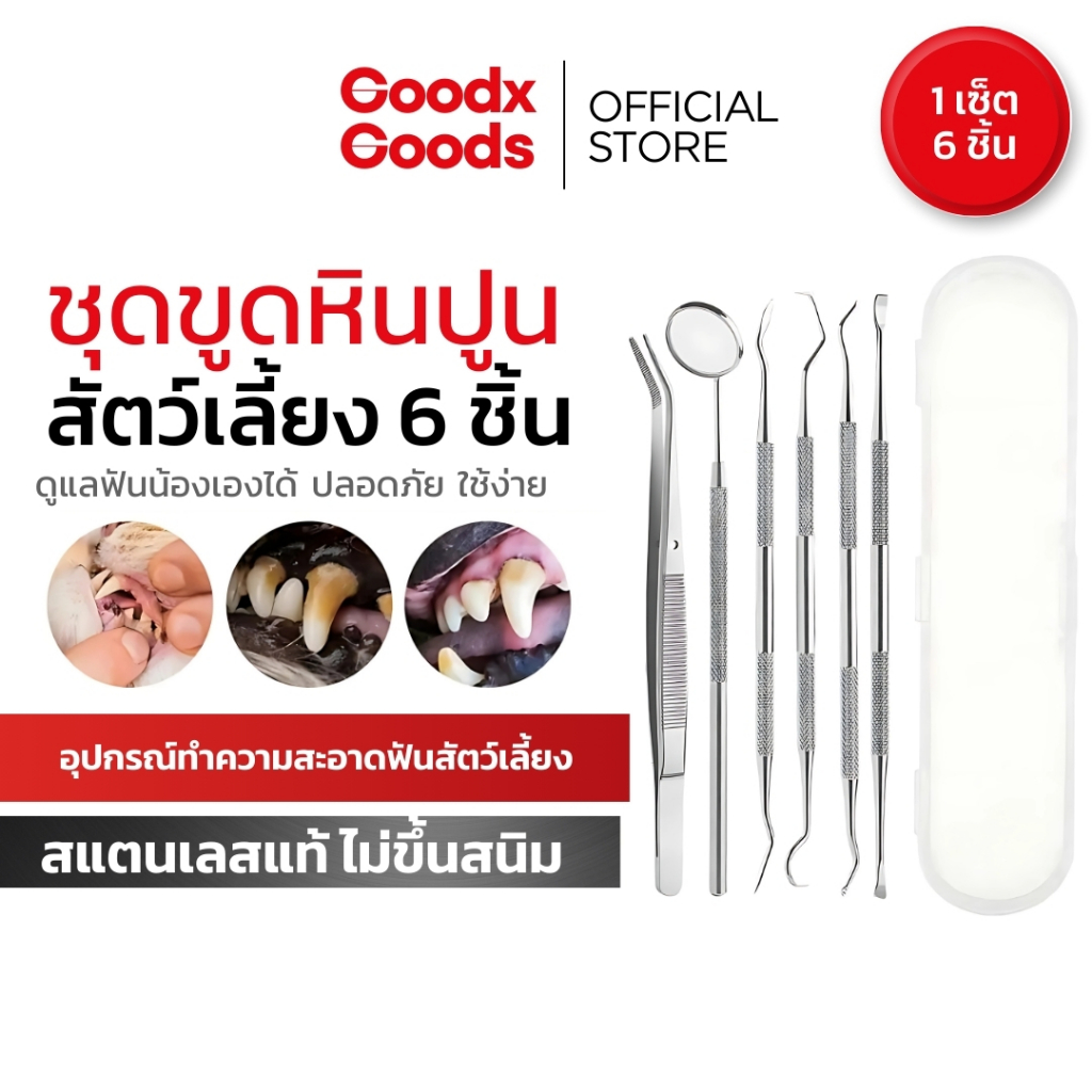 ชุดเครื่องมือขูดหินปูน สุนัข แมว 6 ชิ้น สแตนเลสแท้ ไม่ขึ้นสนิม ใช้เองได้ ปลอดภัย รุ่นเดียวกับคลินิก