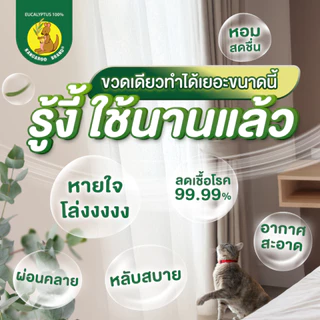 Kangaroo สเปรย์ยูคาลิปตัส ตราจิงโจ้ 300 มล.ช่วยปรับอากาศ และช่วยลดอาการคัดจมูกและภูมิแพ้จากหวัด