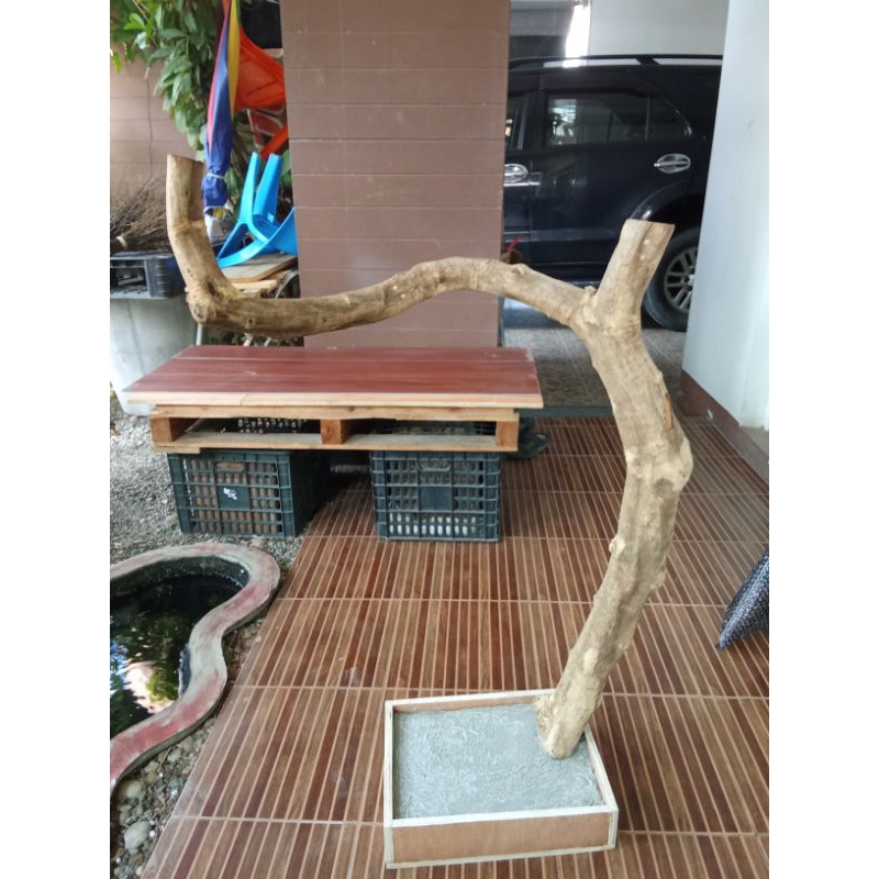 กิ่งไม้สำหรับนกตัวใหญ่พร้อมฐานปูนความสูง 1 เมตร(กิ่งไม้แต่ละกิ่งจะไม่เหมือนกัน)