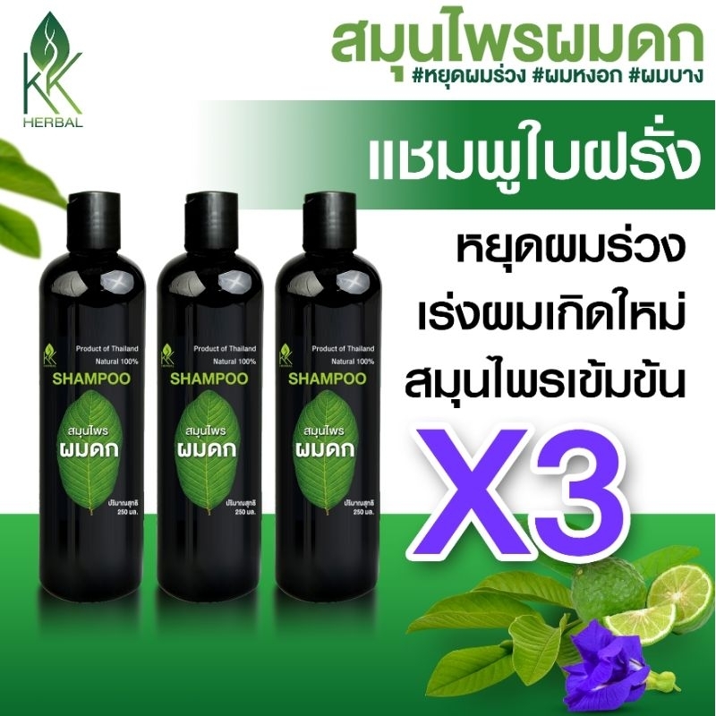 สุดคุ้ม3ขวดแชมพูใบฝรั่ง ปลูกผม หยุดผมร่วง รังแค คันหนังศรีษะ ชลอหงอก สมุนไพรผมดก ขนาด 250 มล. (3ขวด)