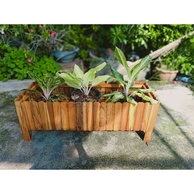 กระถางต้นไม้ กว้าง 20 ซม.สูง30ซม.งานไม้สักแท้ 100%