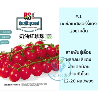 เมล็ดมะเขือเทศเชอรี่กลม มะเขือเทศจิ๋ว 200เมล็ด/300เมล็ด CherryTomato/Pearl Tomato