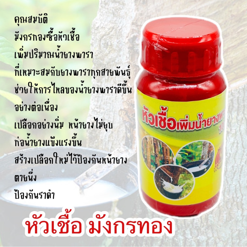 หัวเชื้อ มังกรทอง เพิ่มน้ำยาง มี 2 ขนาด ให้เลือก 100ml/250ml ช่วยให้การไหลของน้ำยางพาราดีขึ้นอย่างต่อเนื่อง เร่งน้ำยาง