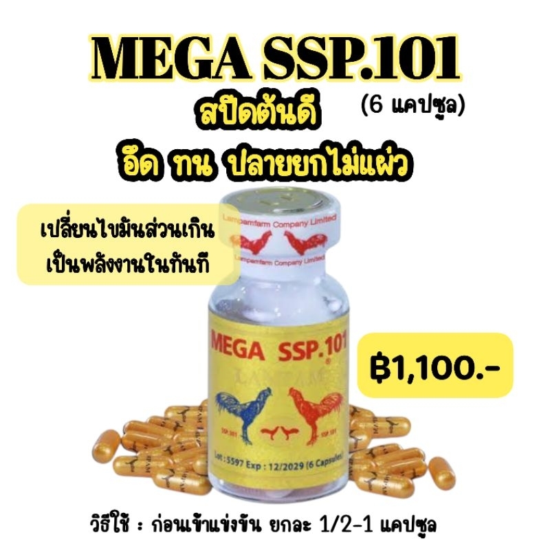 LAMPAM ลำปำ MEGA SSP.101