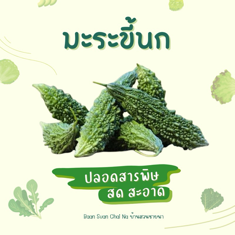มะระขี้นก 1กิโลกรัม เก็บสดตามออเดอร์ ปลอดสารพิษ  สด สะอาด