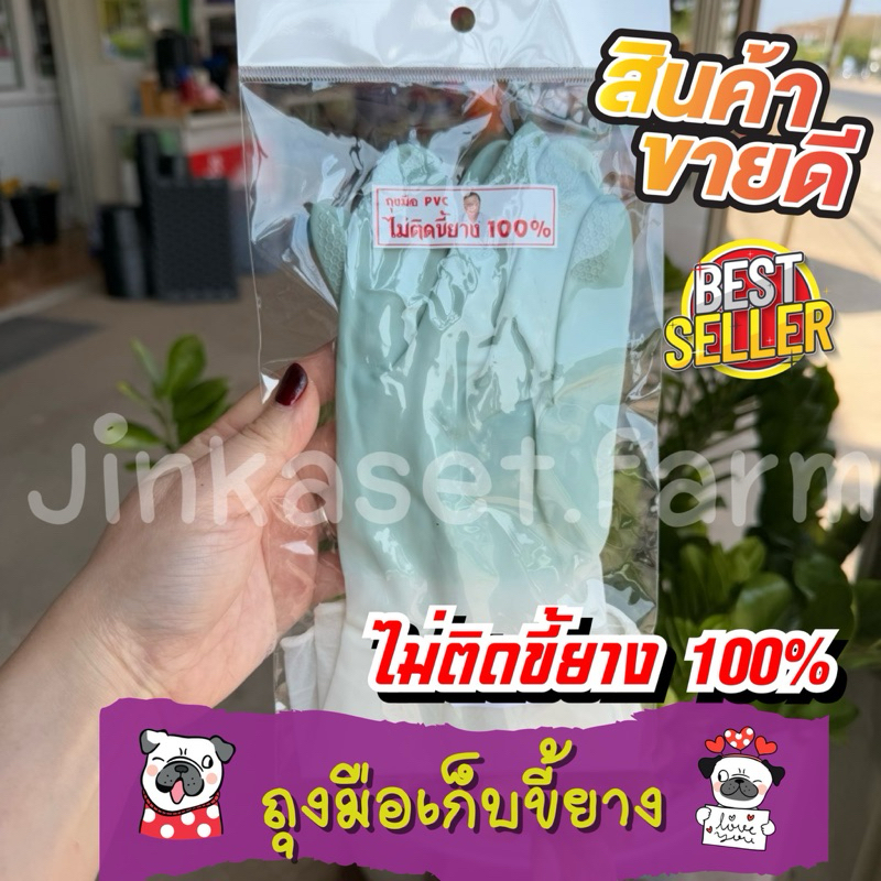 ถุงมือพีวีซี ถุงมืออย่างดี ถุงมือเก็บขี้ยาง ไม่ติดขี้ยาง 100% คละสี