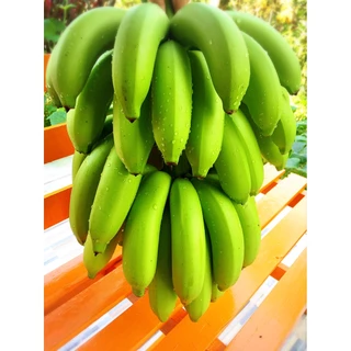 แพคละ 10 ใบ ถุงห่อกล้วย ขนาด 30x40 นิ้ว และ 30x45 นิ้ว เกรด A เนื้อหนา ใช้ซ้ำได้ ถุงห่อกล้วยหอม