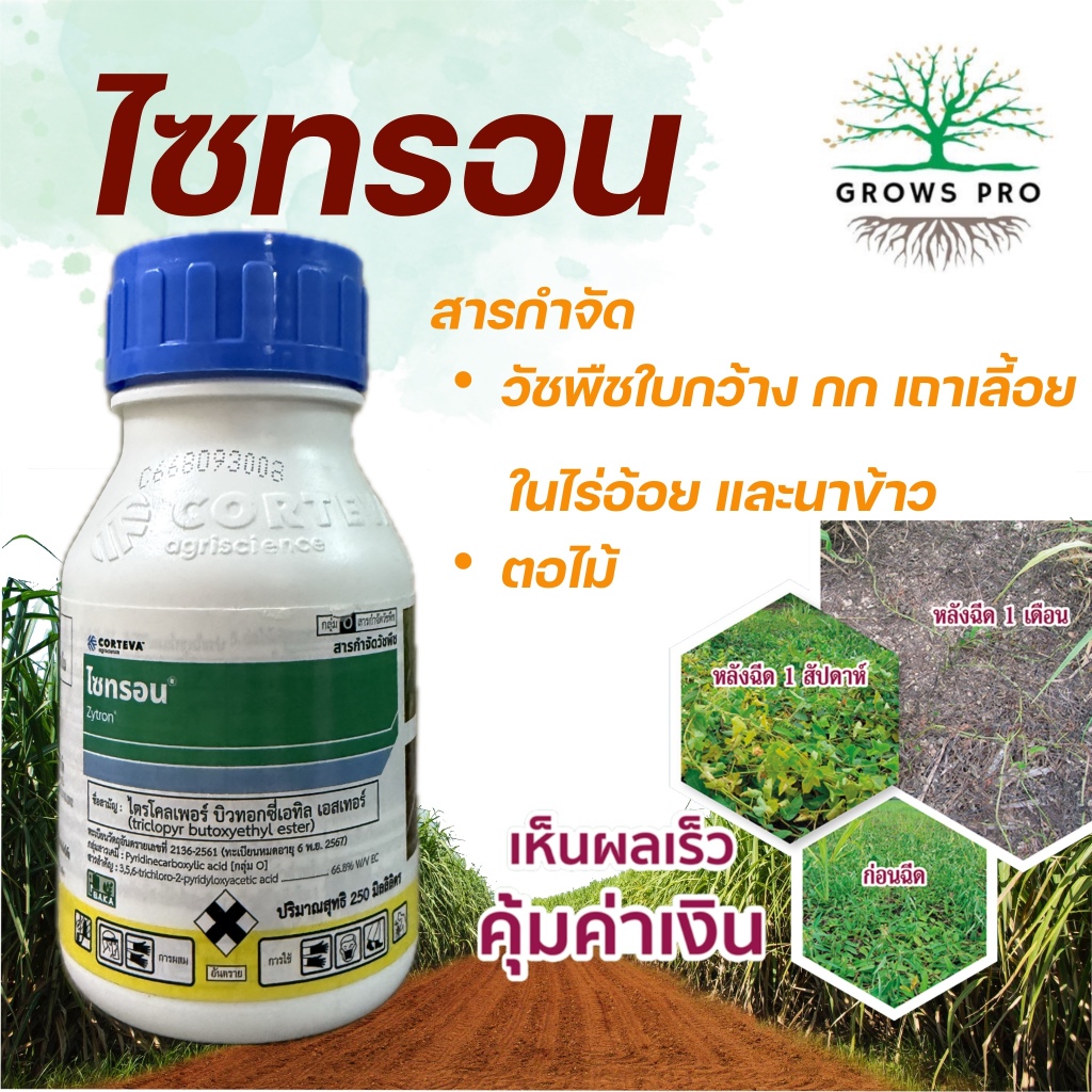 GrowsPro ไซทรอน 250 cc. สารไตรโคลเพอร์ สารกำจัดวัชพืชใบกว้าง กก เถา ตอไม้