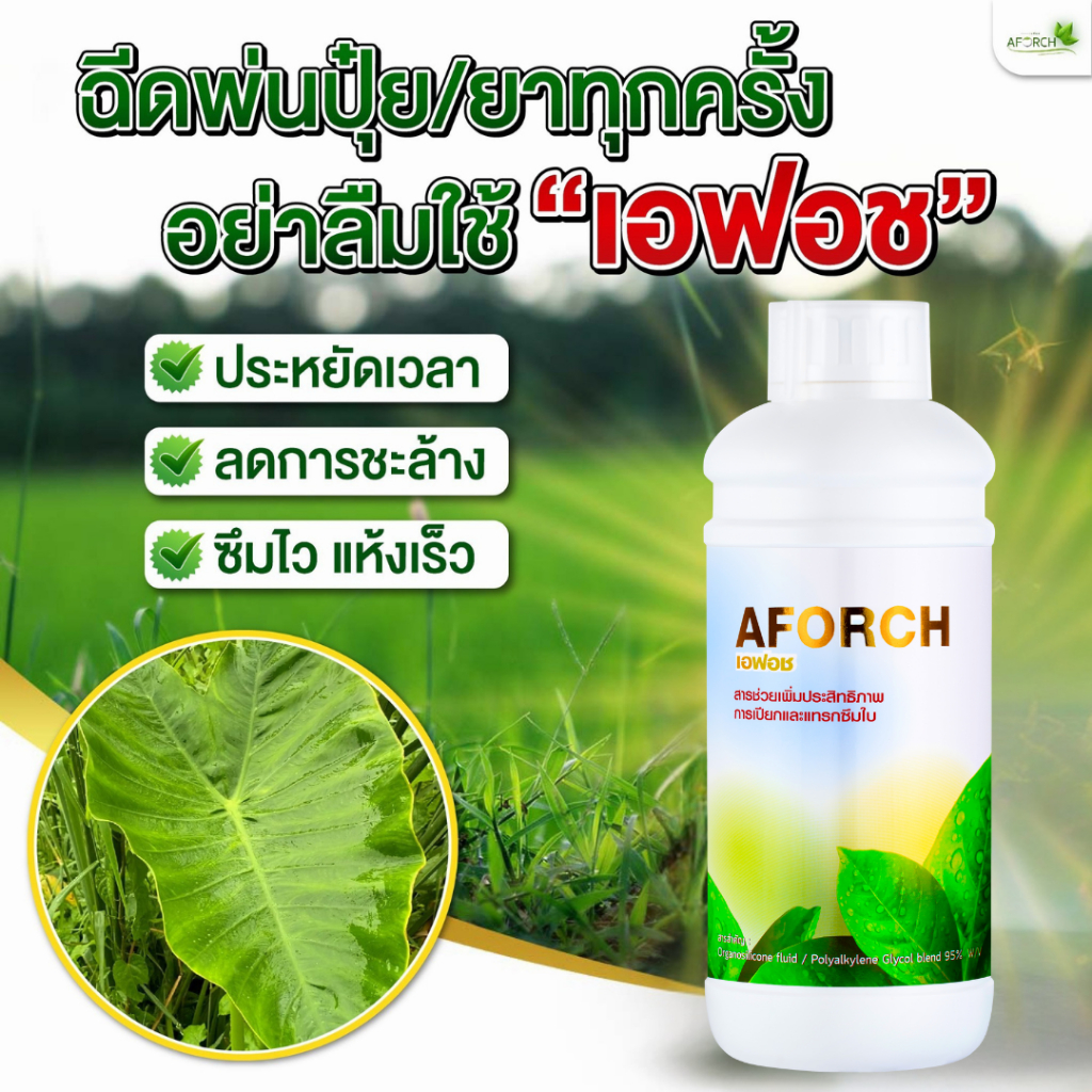เอฟอช AFORCH สารจับใบ สารนำพา ขนาด 1,000 ซีซี ไม่ทิ้งสารตกค้าง ดูดซึมทันที ช่วยประหยัดค่าปุ๋ย ราคา ถูกที่สุด ดีลบีเคเค แกลเลอรีภาพที่ 4
