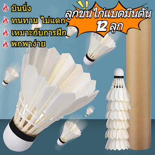 แบดมินตัน คอลเลคชั่นขนเป็ด แบดมินตัน พลาสติก แบดมินตัน สำหรับฝึกซ้อม ราคาไม่แพง ใช้งานง่าย ทนทาน