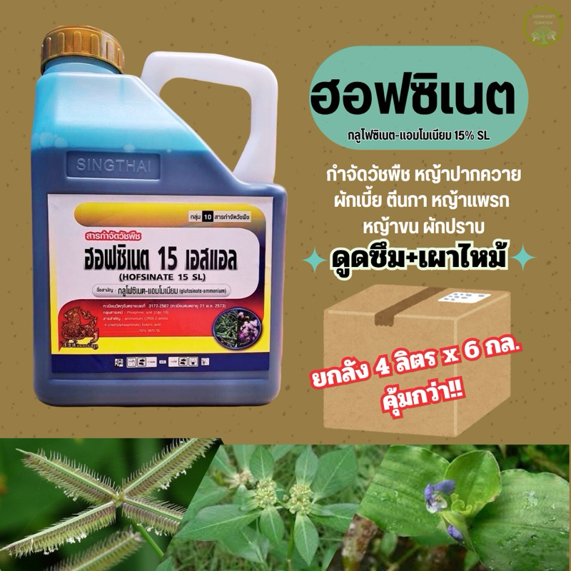 ❤️ยกลัง❤️กลูโฟซิเนท 15%สิงห์ไทย เนื้อนำเข้า สารกำจัดวัชพืชใบแคบ ใบกว้าง ตายดี ตายทน ทนฝน ขนาด 4ลิตร