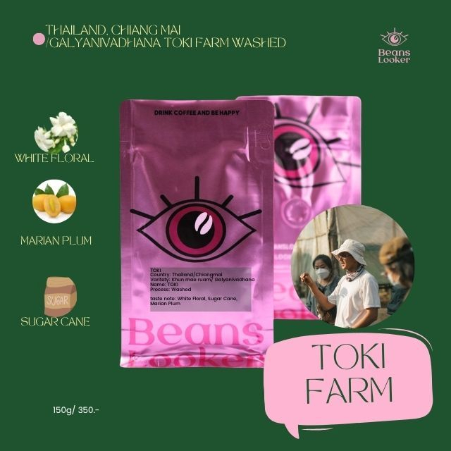 THAILAND TOKI FARM  WASHED กาแฟไทยโทกิ กัลยานิวัฒนา จ.เชียงใหม่