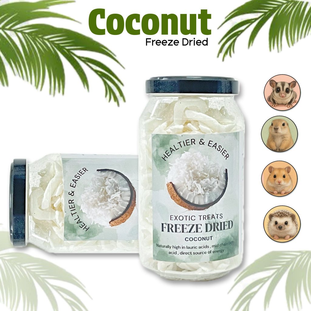 Coconut Freeze Dried มะพร้าวฟรีชดราย หอมอร่อย พร้อมแร่ธาตุและวิตามิน ทานสะดวกทุกที่ ชูการ์ แฮมเตอร์ ชูการ์ไกลเดอร์ ลิง