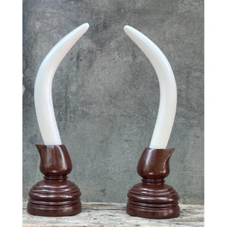 งาช้างไม้ งาช้างตั้งประดับ/ตกแต่ง สวยสง่างาม(ราคา/คู่)