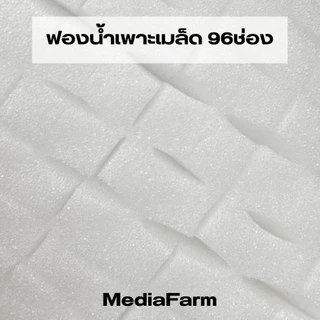 ฟองน้ำเพาะเมล็ดแบบยกห่อ100แผ่น